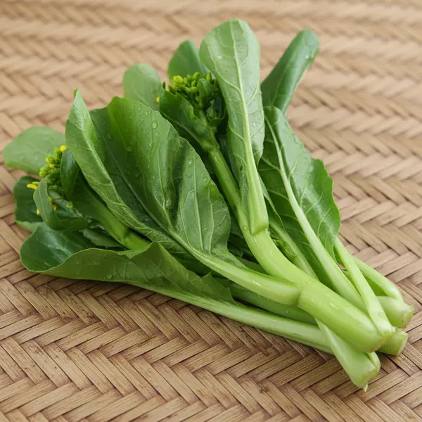 cai-ngong-nayangi.com