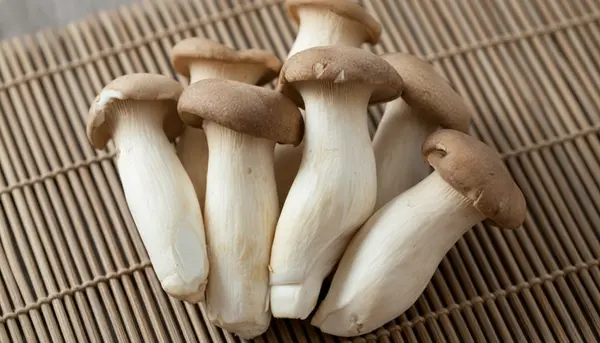 nam-dui-ga-nayangi.com